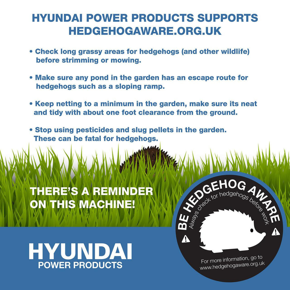 Hedgehog awareness