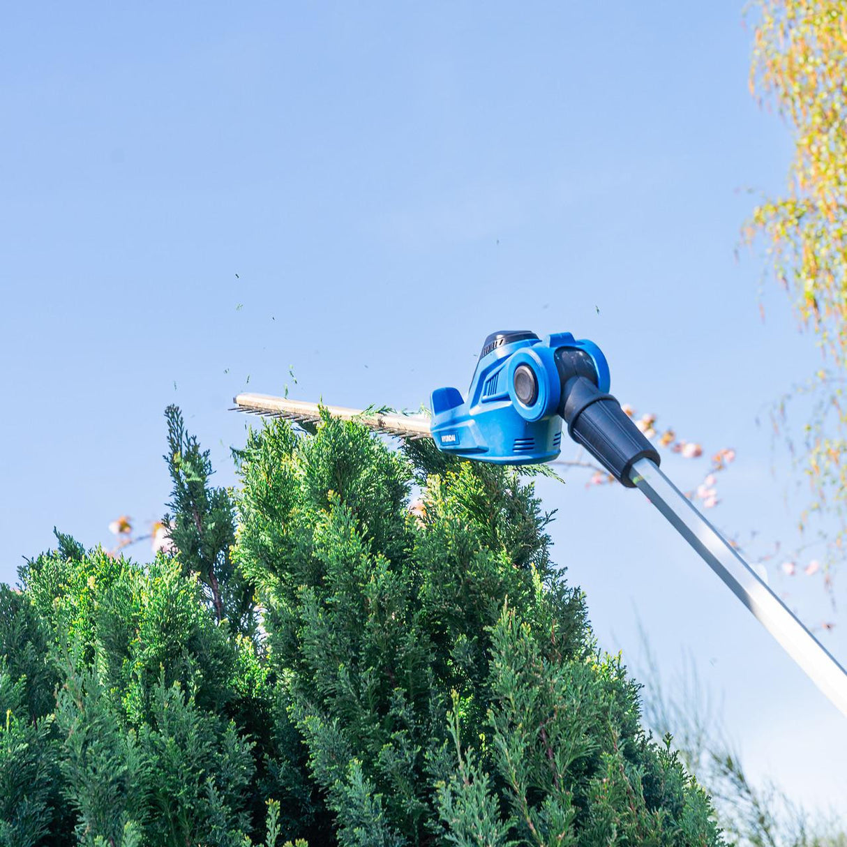 Maintain tall hedges and shape shrubs with ease using the Hyundai HY20CPHT 20V Cordless Pole Hedge Trimmer.