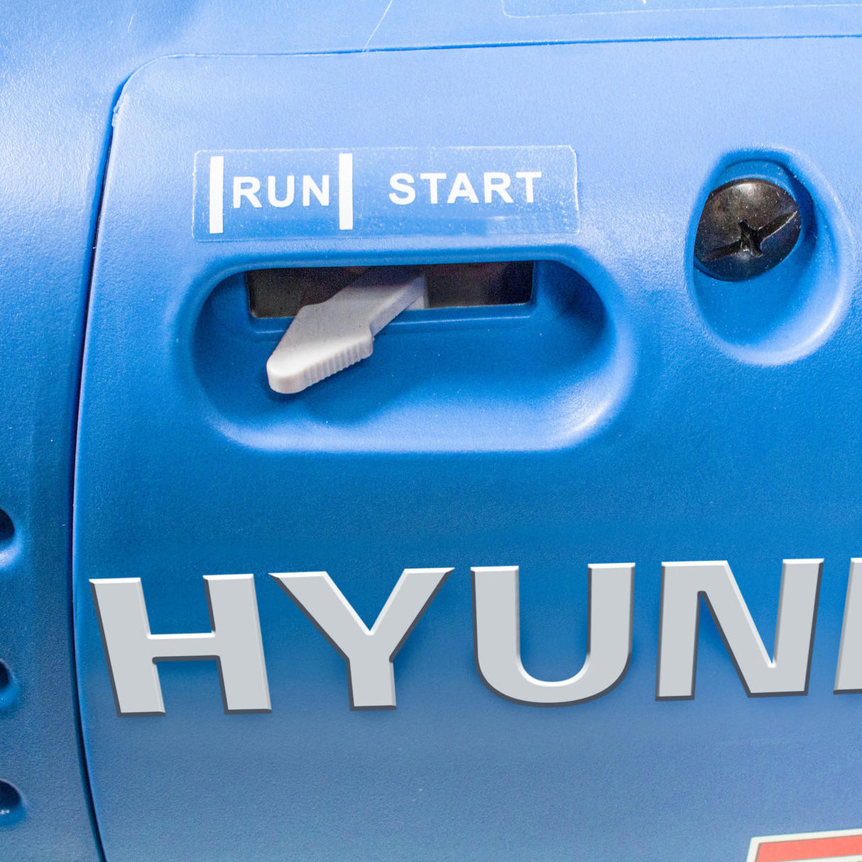 Leisure generator run/start switch