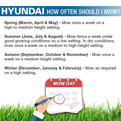 How often should I mow