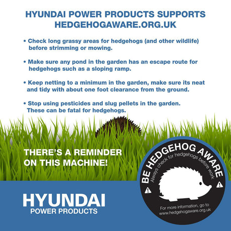 Hedgehog awareness