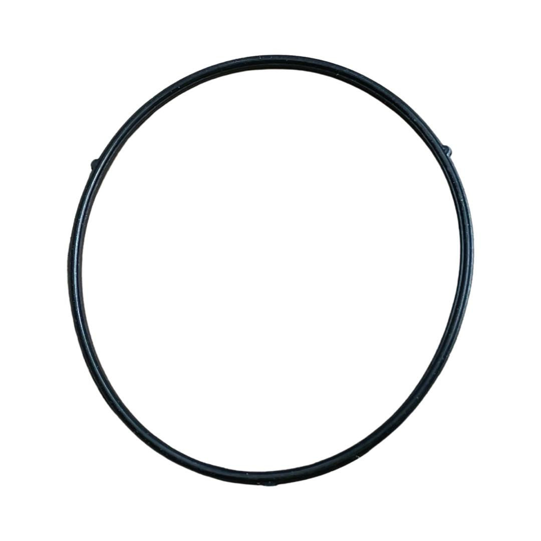 Carburetor Seal kit DH208