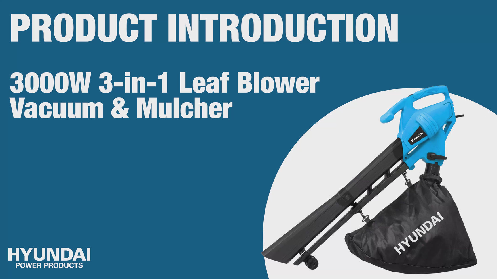 An introduction to the popular, budget, leaf blower