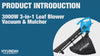 An introduction to the popular, budget, leaf blower