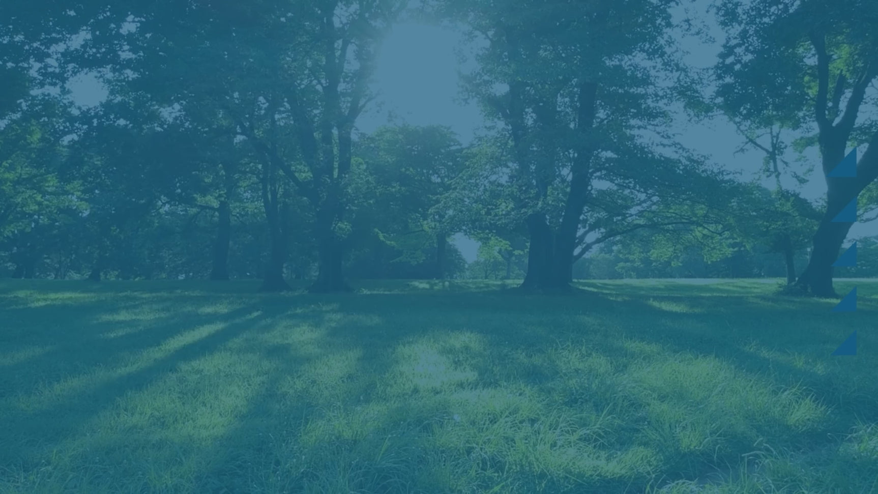 https://media.hyundaipowerproducts.co.uk/HYBC5200X/Video/HYBC5200X%20Animated%20Spec%20Sheet.mp4